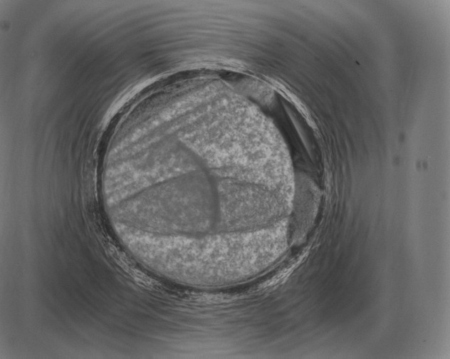 X0000084010877200703161711