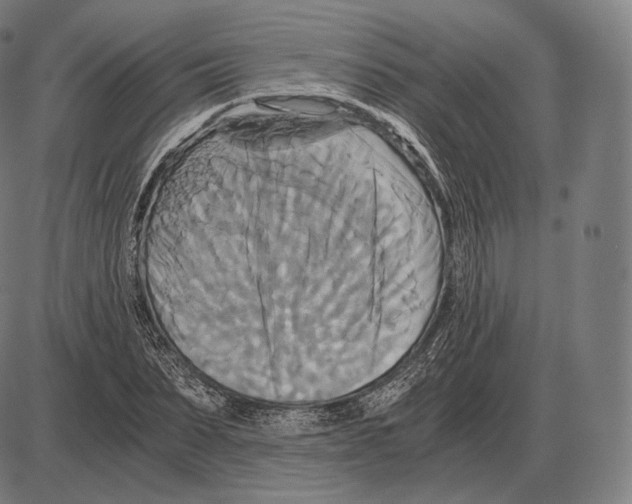 X0000084010879200703161711