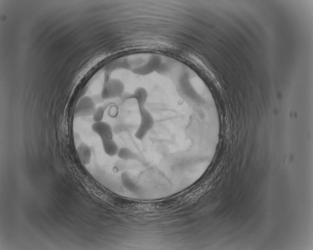 X0000084010883200703161711