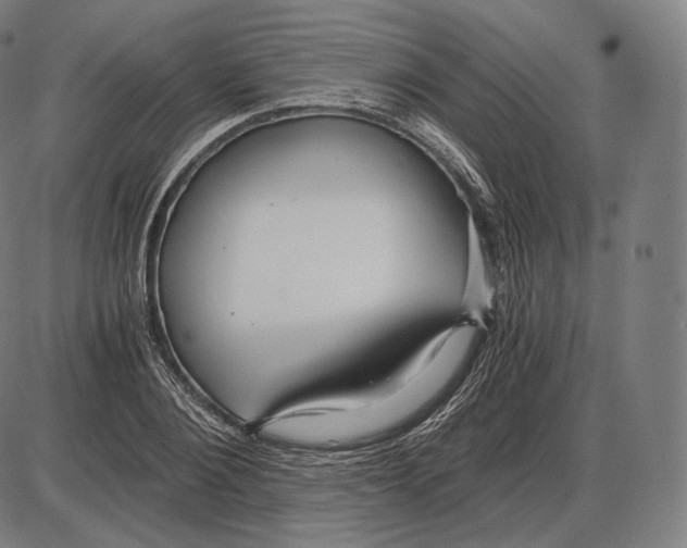 X0000084010884200703161711