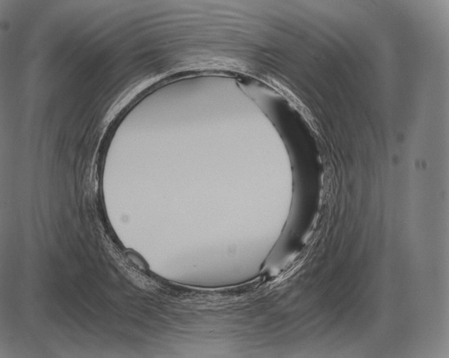 X0000084010885200703161711