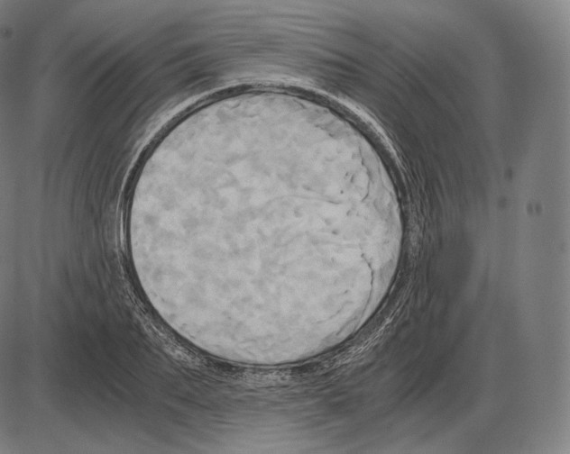 X0000084010887200703161711