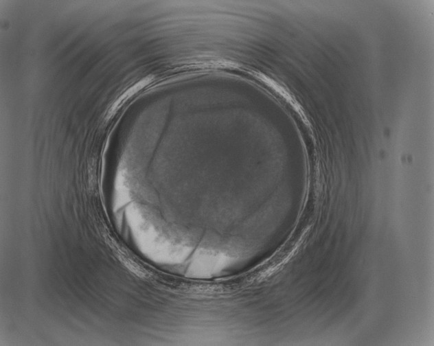 X0000084010889200703161711