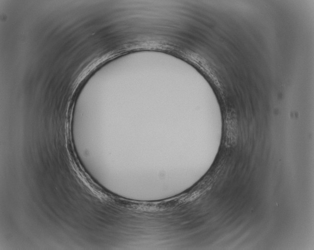 X0000084010890200703161711