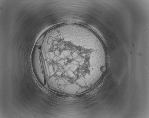 X0000084010891200703161711