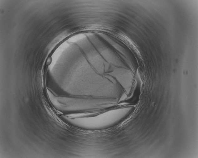 X0000084010892200703161711