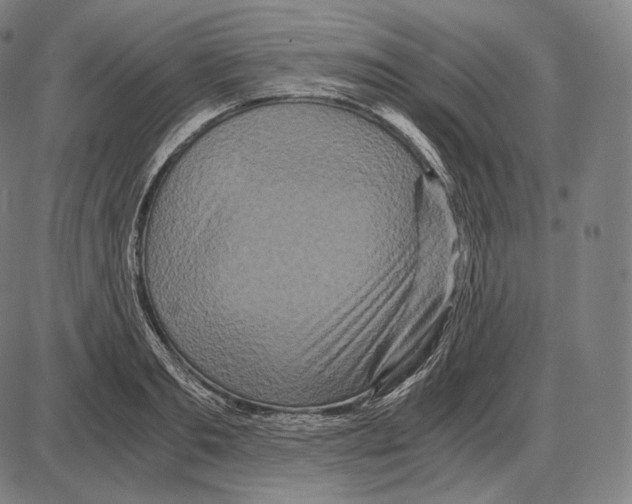 X0000084010893200703161711