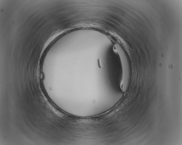 X0000084010894200703161711