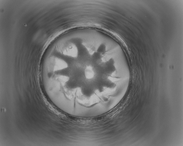 X0000084010895200703161711