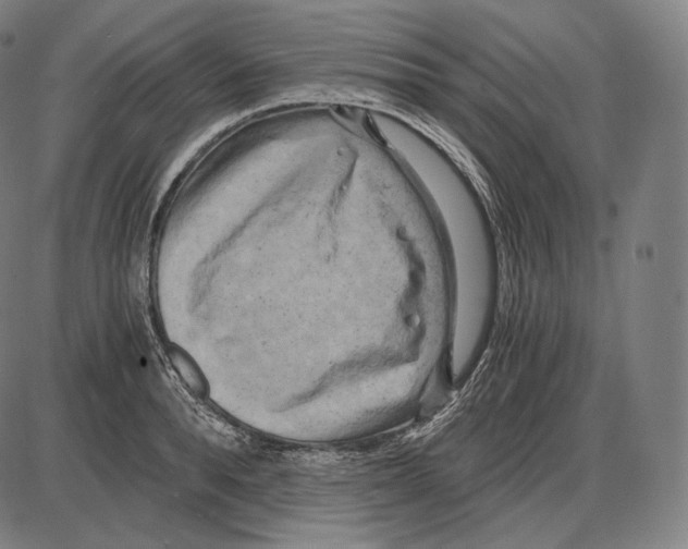 X0000084010896200703161711