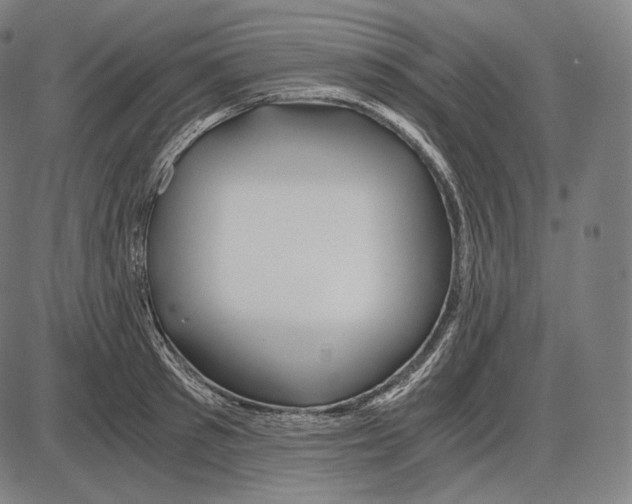 X0000084010897200703161711