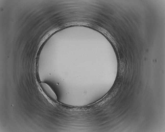 X0000084010898200703161711