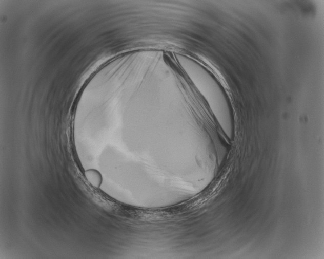 X0000084010899200703161711