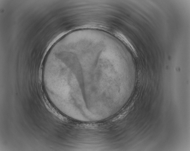 X0000084010900200703161711