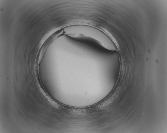 X0000084010901200703161711