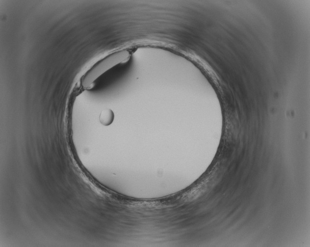 X0000084010902200703161711