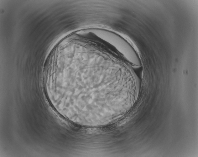 X0000084010903200703161711