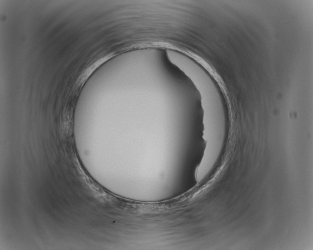 X0000084010905200703161711