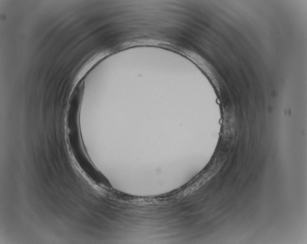 X0000084010906200703161710