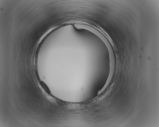 X0000084010909200703161710