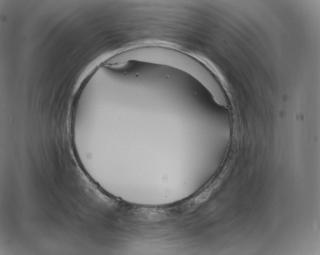 X0000084010910200703161710