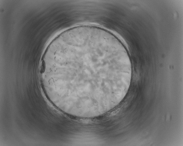 X0000084010911200703161710