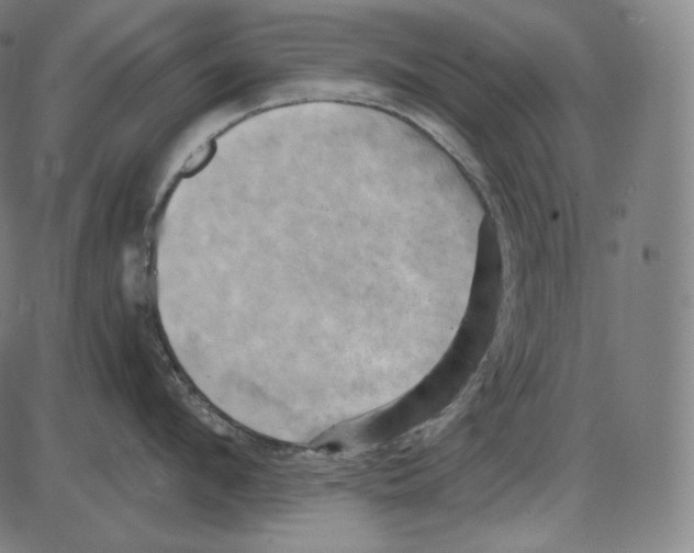 X0000084010912200703161710