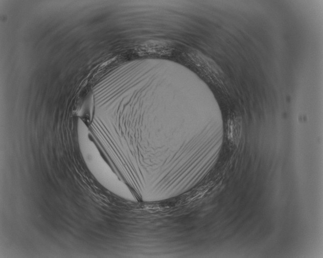 X0000084010915200703161710