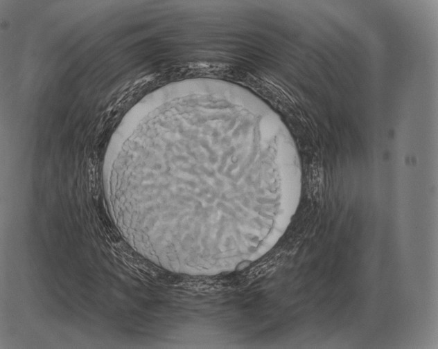 X0000084010917200703161710