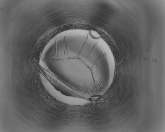 X0000084010919200703161710