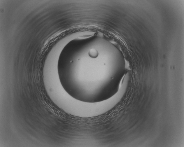 X0000084010920200703161710