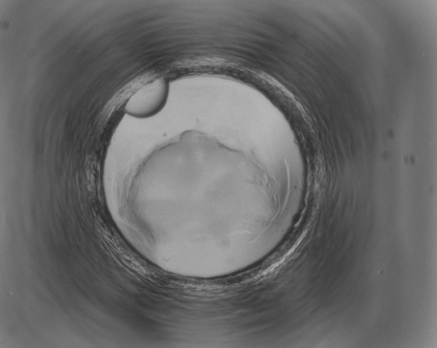 X0000084010921200703161710