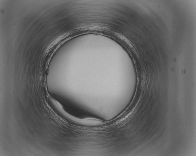 X0000084010922200703161710