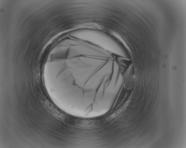 X0000084010923200703161710