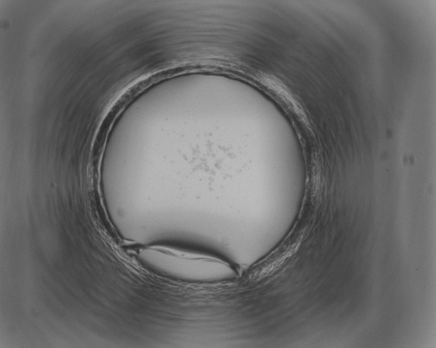 X0000084010924200703161710