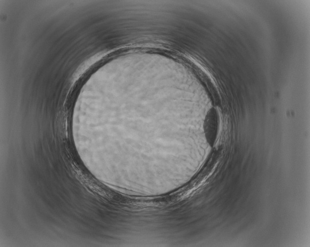 X0000084010925200703161710