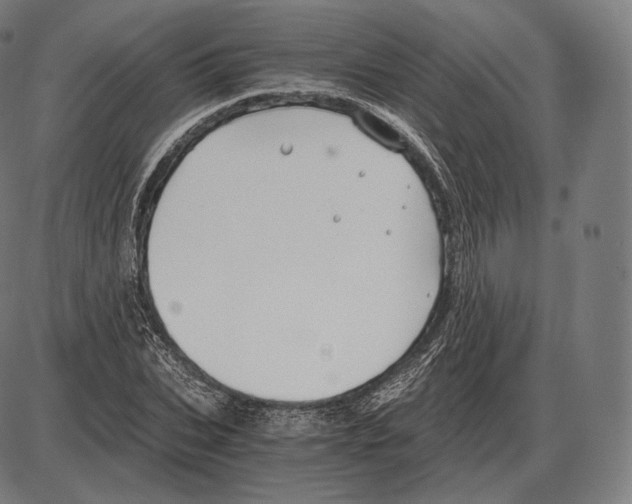 X0000084010927200703161710