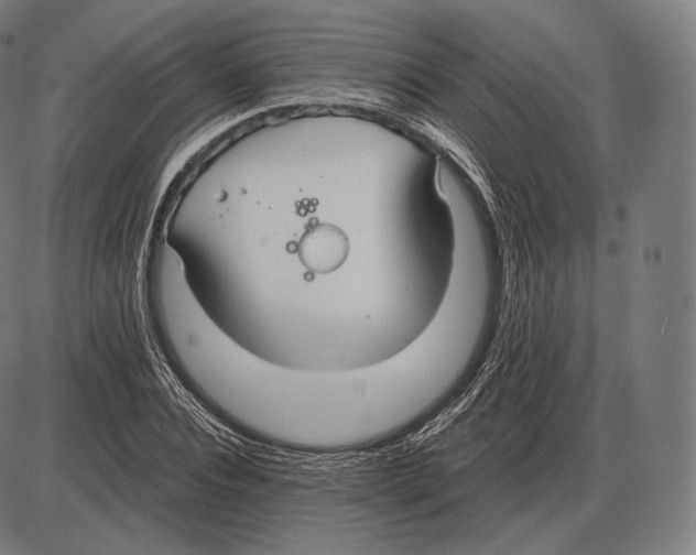 X0000084010928200703161710