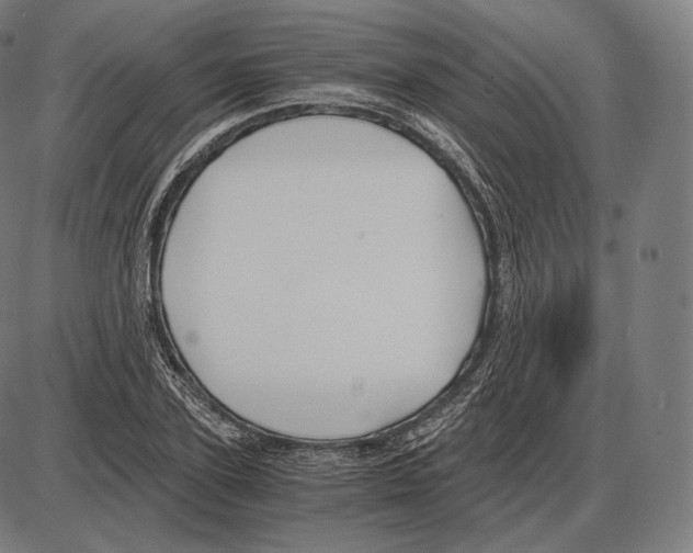 X0000084010931200703161710