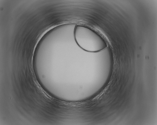 X0000084010932200703161710