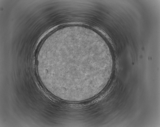 X0000084010933200703161710