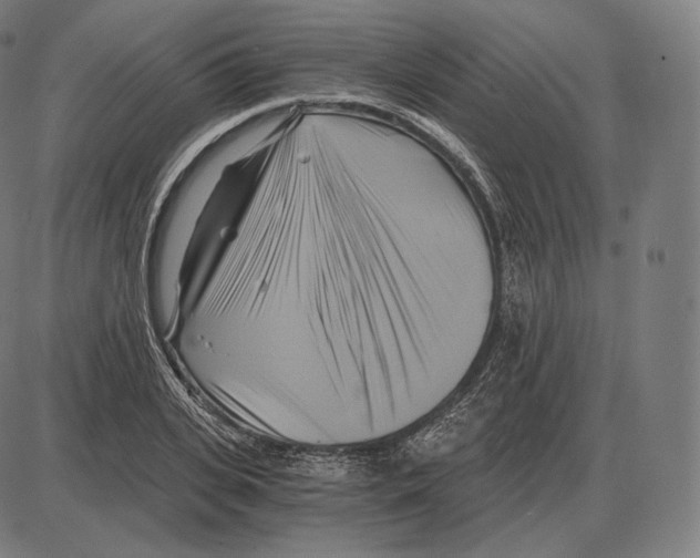 X0000084010935200703161710