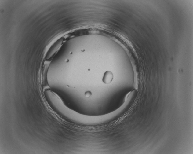 X0000084010936200703161710