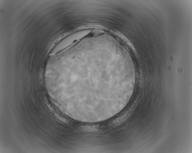 X0000084010937200703161710