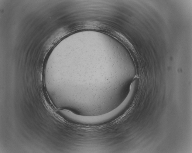 X0000084010938200703161710