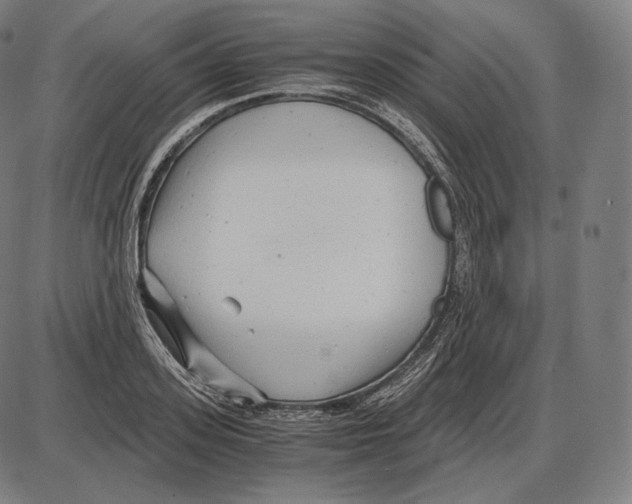 X0000084010939200703161710