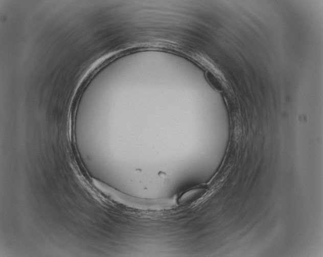 X0000084010940200703161710