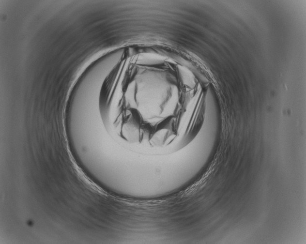 X0000084010942200703161710