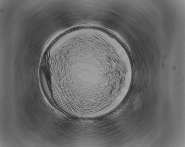 X0000084010943200703161710