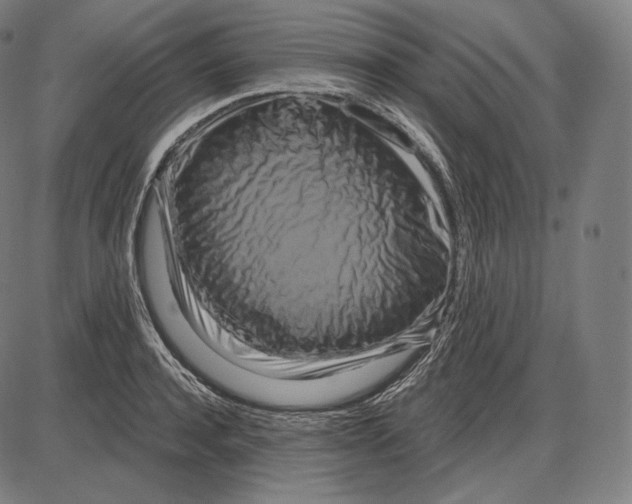 X0000084010944200703161710